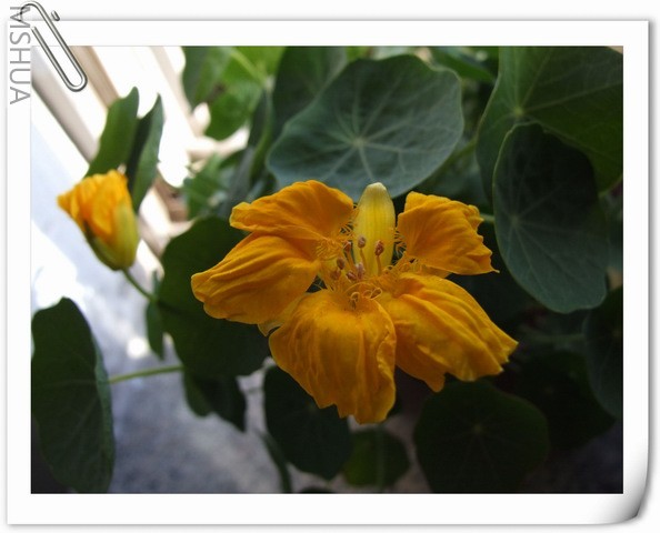 ������С ��������67.jpg