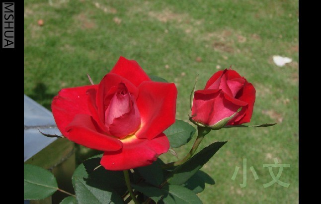 �½� BMP ͼ��.JPG