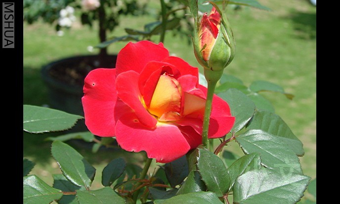 �½� BMP ͼ��.JPG