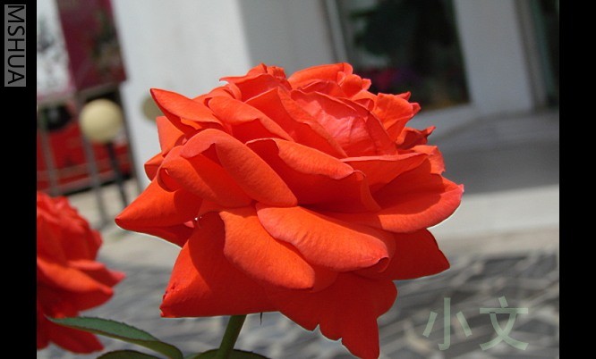 �½� BMP ͼ��.JPG