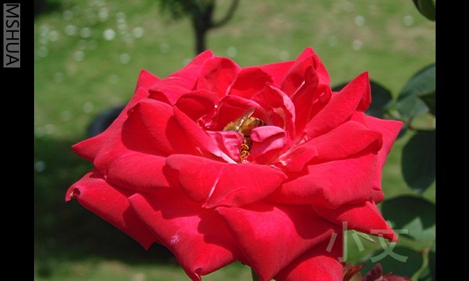 �½� BMP ͼ��.JPG