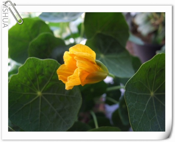 ������С ��������59.jpg.jpg