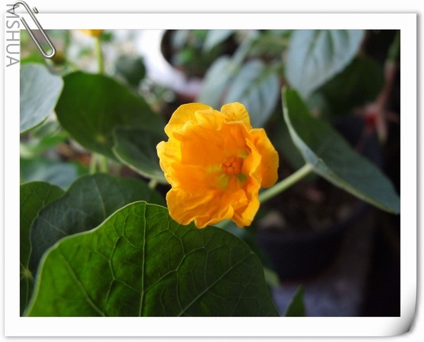 ������С ��������60.jpg