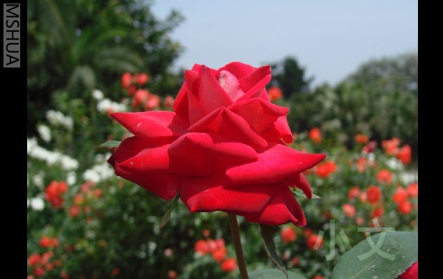 �½� BMP ͼ��.JPG