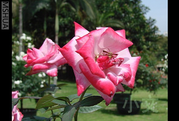 �½� BMP ͼ��.JPG