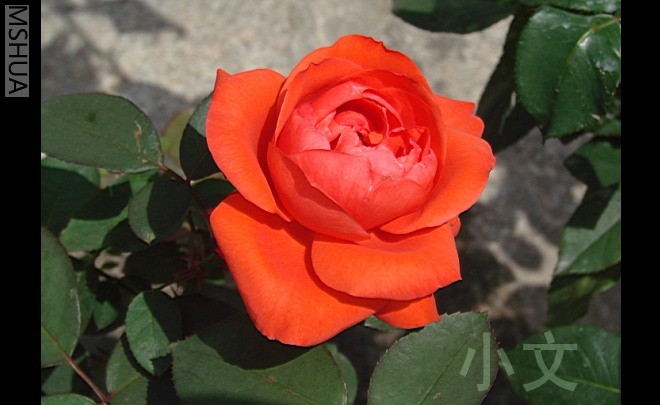 �½� BMP ͼ��.JPG