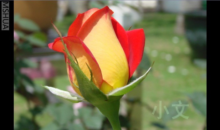 �½� BMP ͼ��.JPG