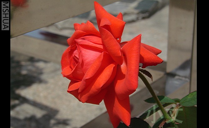 �½� BMP ͼ��.JPG