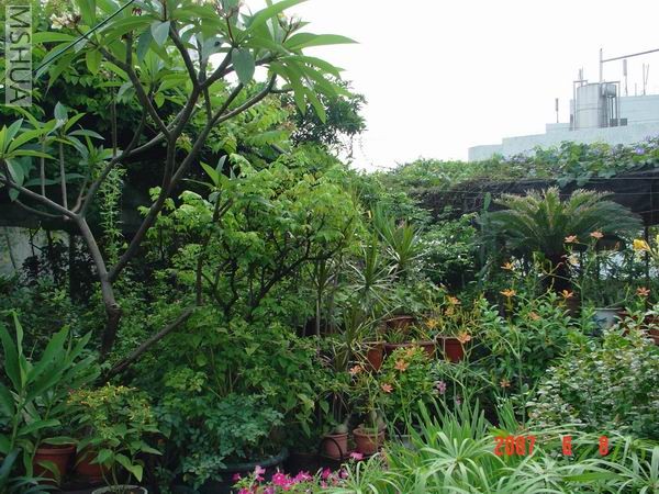 ����ľ���ܲݱ��͸��ˣ����úܺã�