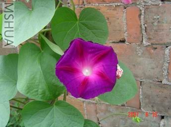 ��֪������