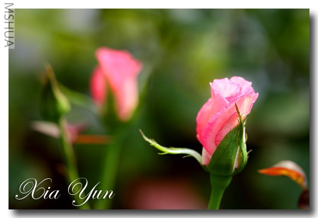 IMG_7165 ��������.jpg