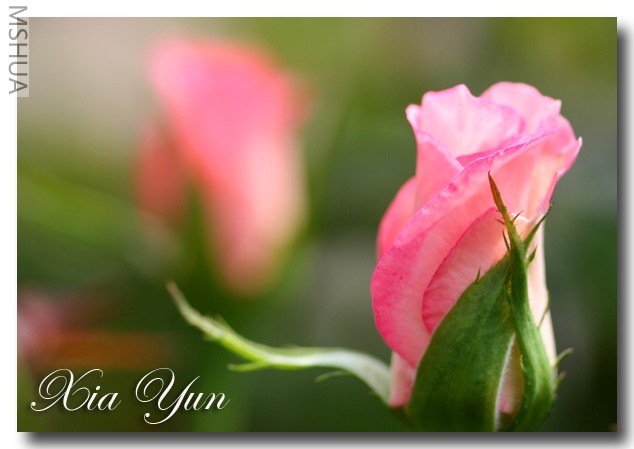 IMG_7167 ��������.jpg