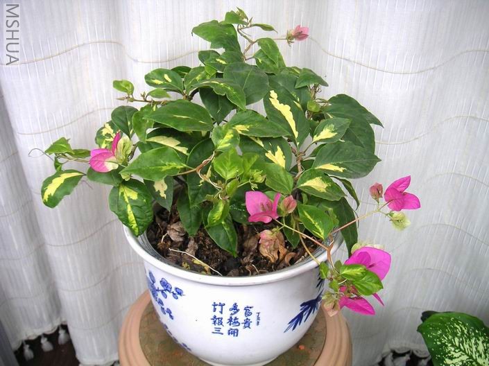 ������С 706104.jpg