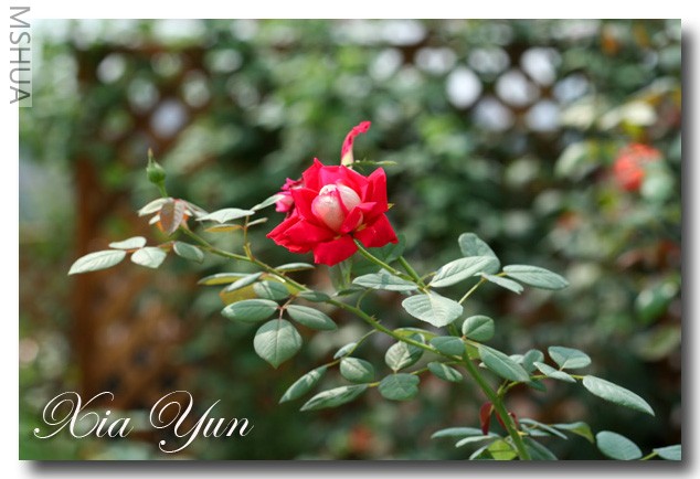 �����Ѿ�