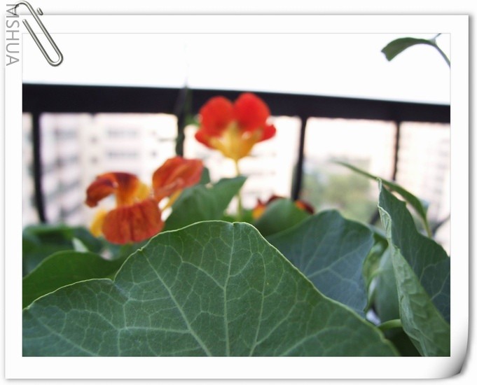 ������С ����169a.jpg