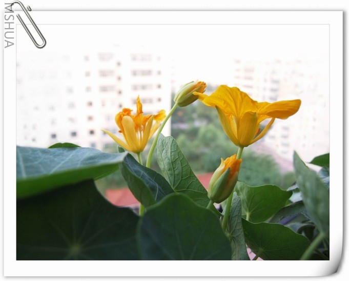 ������С ����167a.jpg