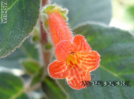 �ۺ컨è03926-1_resize.jpg