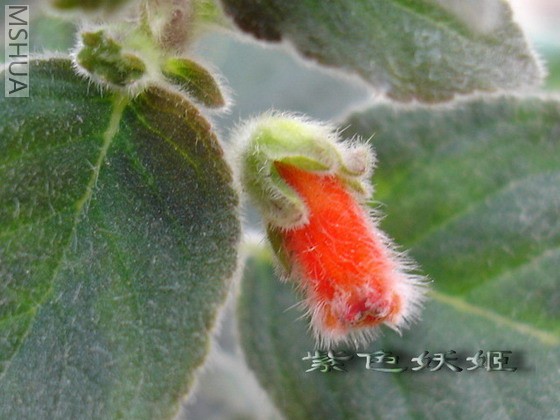 �ۺ컨è03925-1_resize.jpg