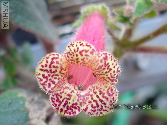 �컨è03768-1_resize.jpg