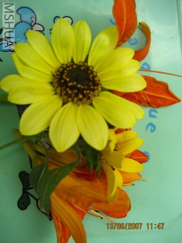 ��Ƭ20070613 016_��С��С.jpg