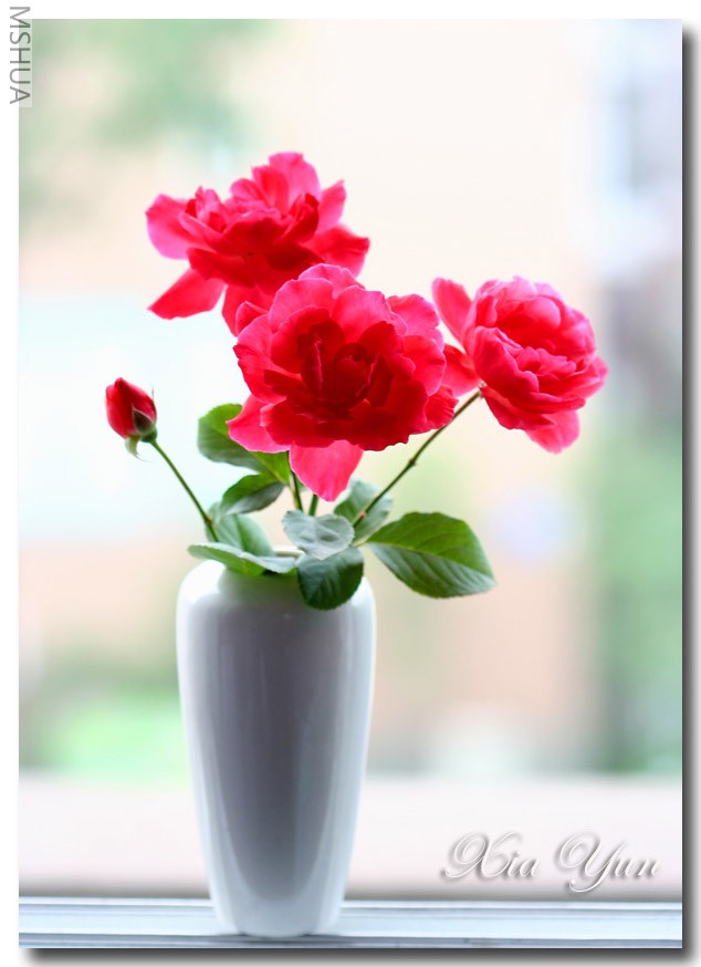 IMG_7181 ��������.jpg