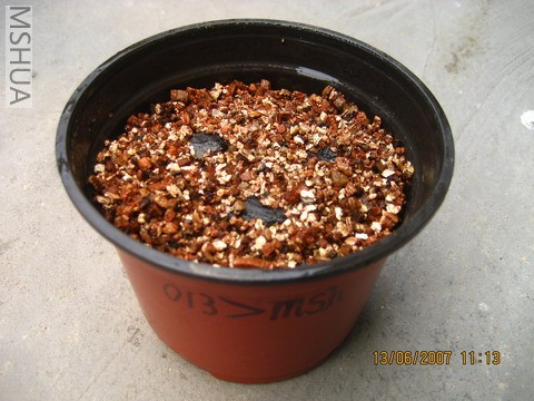 ��Ƭ20070613 011_��С��С.jpg