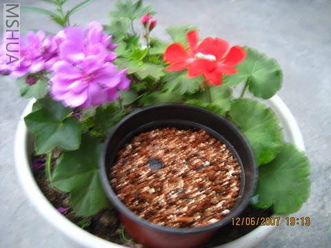 ���£�����