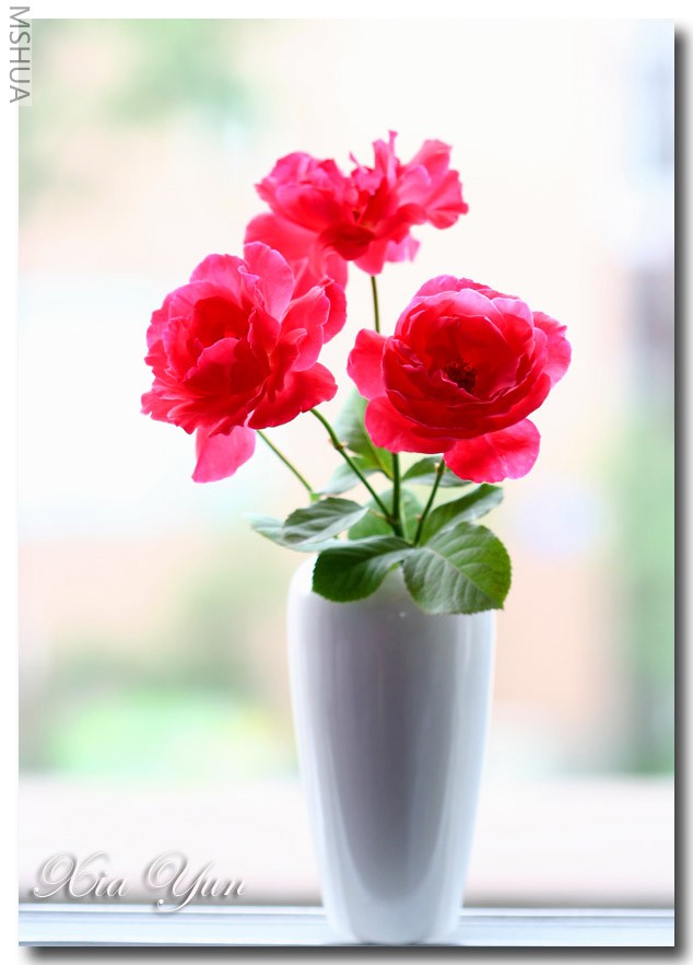 IMG_7178 ��������.JPG