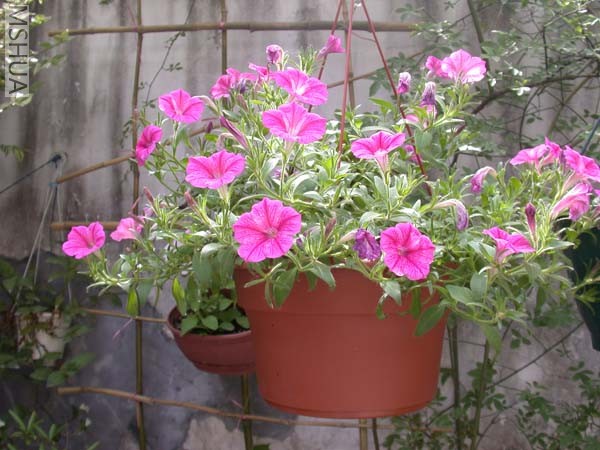 DSCN3924.JPG