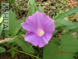 ��Ƭ20070526 004_��С��С.jpg