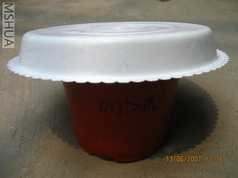 ��Ƭ20070613 012_��С��С.jpg