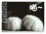 263.gif