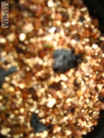 ��Ƭ20070613 009_��С��С.jpg