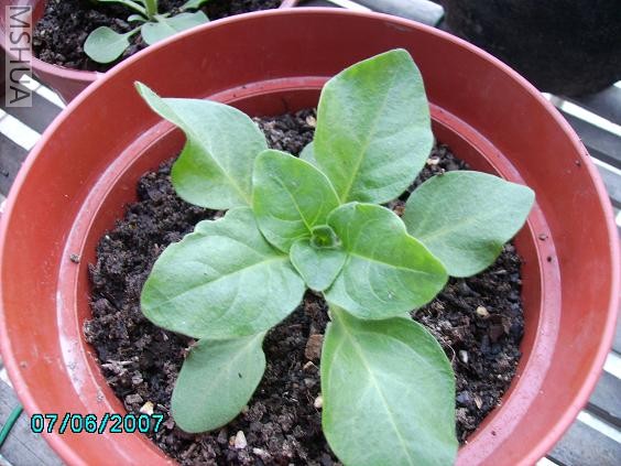 ǰ�����ĵ��Ѿ�������