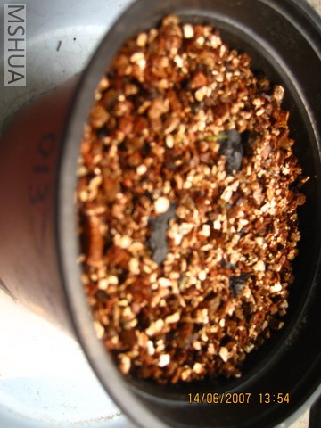 ��Ƭ20070613 005_��С��С.jpg