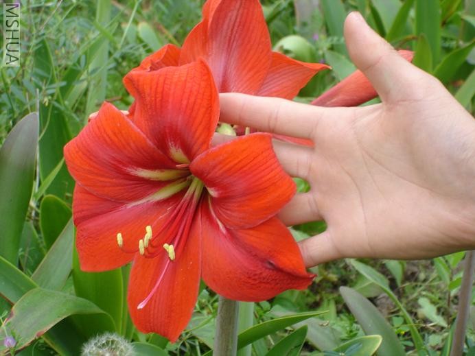 ���ž��͵��ش� �е㾪��!