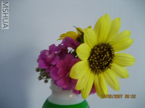 ��Ƭ20070613 003_��С��С.jpg