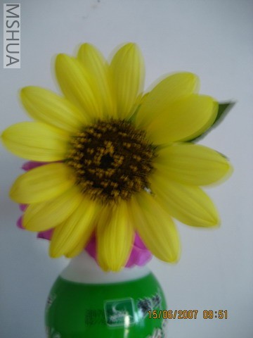 ��Ƭ20070613 001_��С��С.jpg