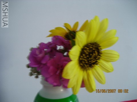 ��Ƭ20070613 005_��С��С.jpg