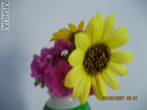 ��Ƭ20070613 002_��С��С.jpg