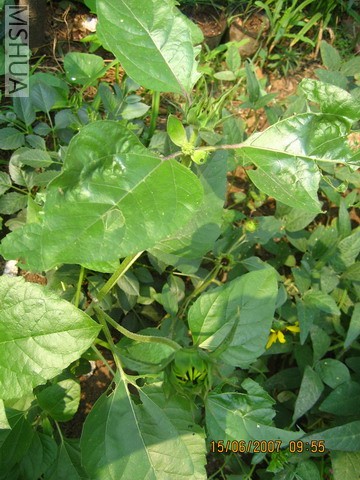 ��Ƭ20070613 010_��С��С.jpg