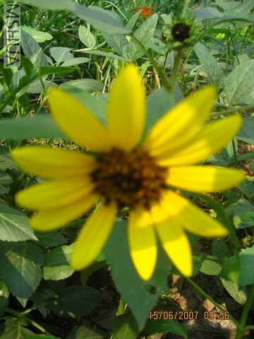 ��Ƭ20070613 011_��С��С.jpg