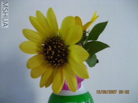 ��Ƭ20070613 004_��С��С.jpg