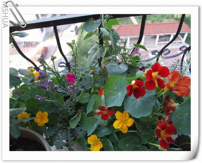 ������С ������63.jpg