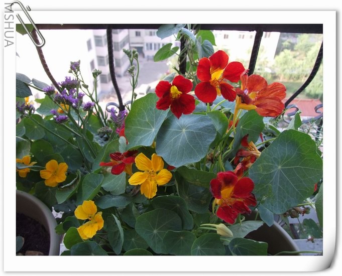 ������С ������64.jpg