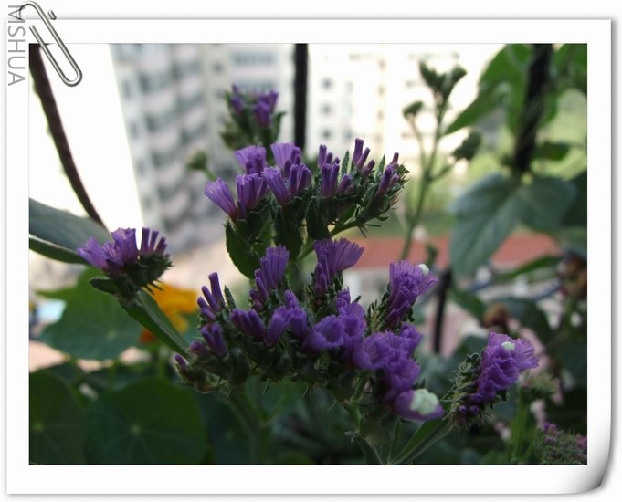 ������С ������66.jpg