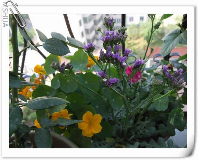 ������С ������65.jpg