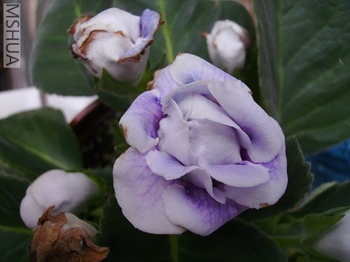 ������û���죬��10�׾ͺô�һ����