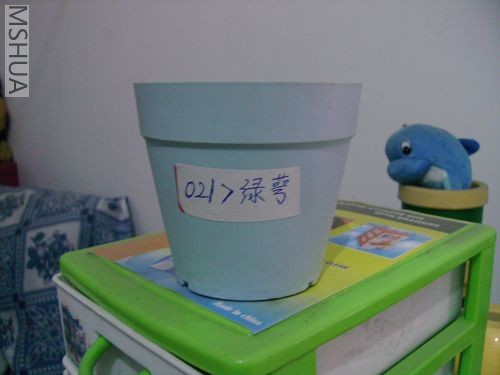 �������ҵı�Ÿ�ID