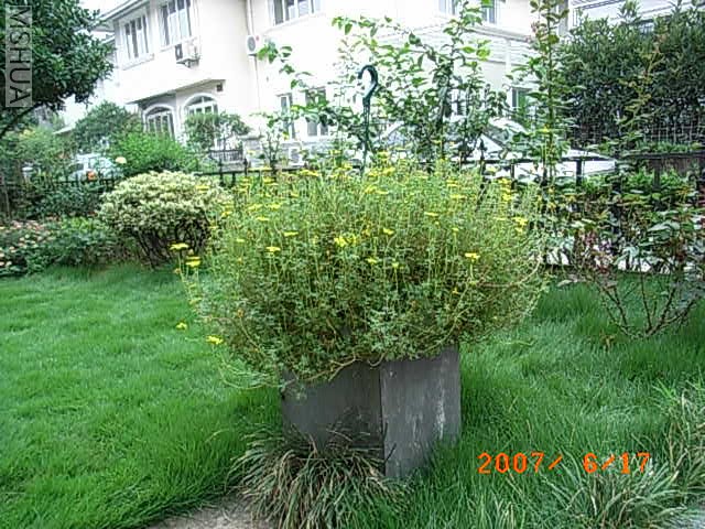 RIMG0002.JPG